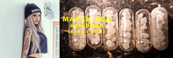 твердый Новозыбков