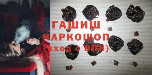 сатива Новодвинск