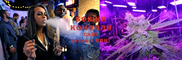 твердый Новозыбков