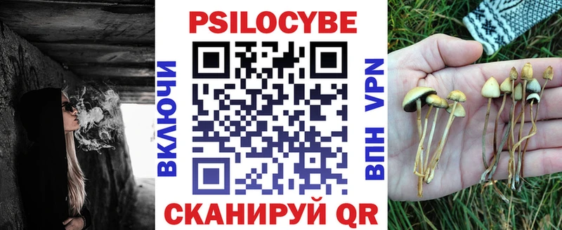 Псилоцибиновые грибы Psilocybine cubensis  Купить  Стерлитамак 